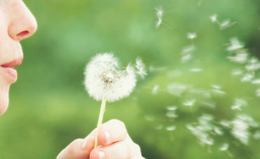 Allergie, intolleranze alimentari e dermatiti. Fenomeni tipici della primavera da non confondere tra loro
